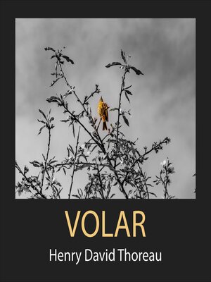 cover image of Volar